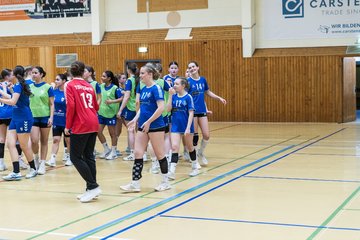 Bild 317 - wBJ TSV Ellerau - HSG Stoertal Hummeln : Ergebnis: 26:19